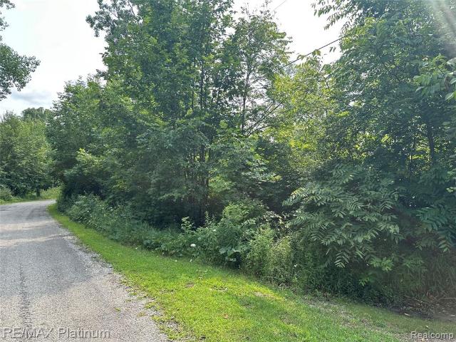 Land for sale in Michigan