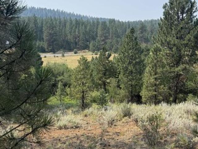 Land for sale in New Meadows, Idaho
