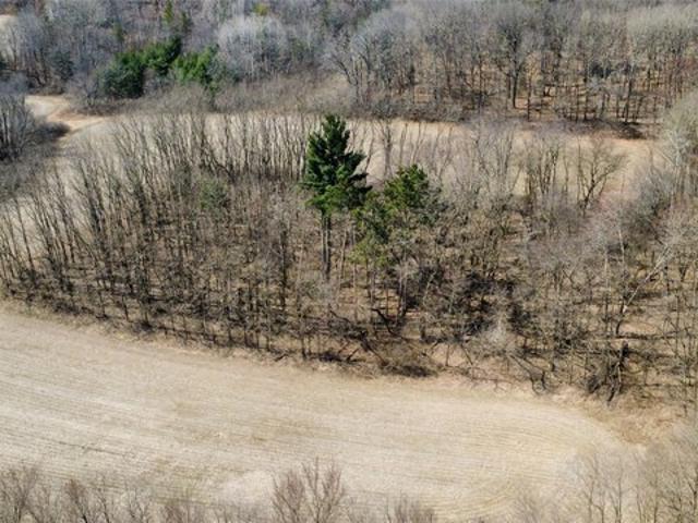 Land for sale in Black River Falls, Wisconsin