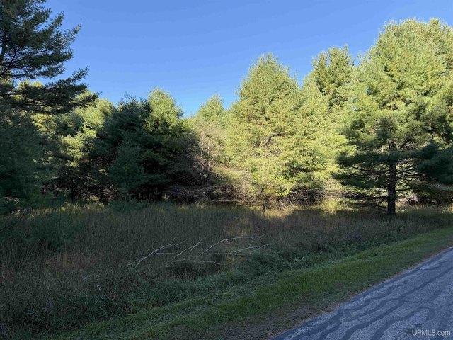 Land for sale in Manistique, Schoolcraft County