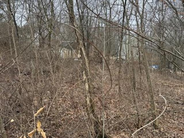 Land for sale in Coal Township, Pennsylvania