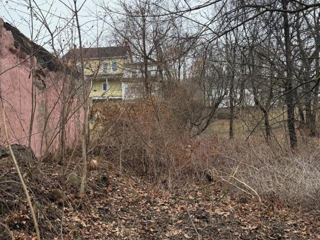 Land for sale in Coal Township, Pennsylvania