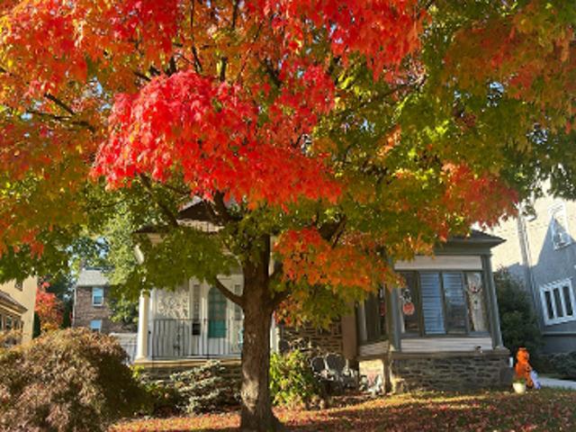 House for sale in Burmont, Lansdowne