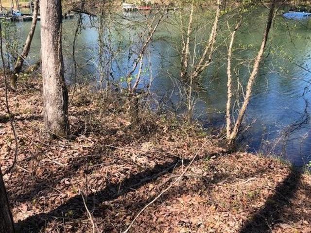 Land for sale in Arley, Alabama