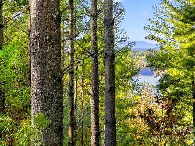Land for sale in North Carolina