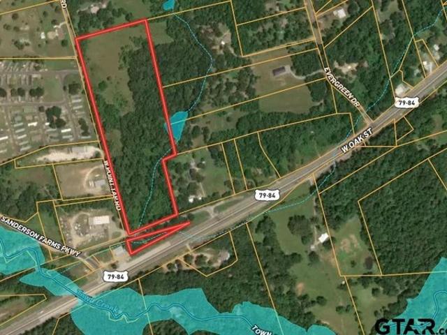 Land for sale in Palestine, Texas