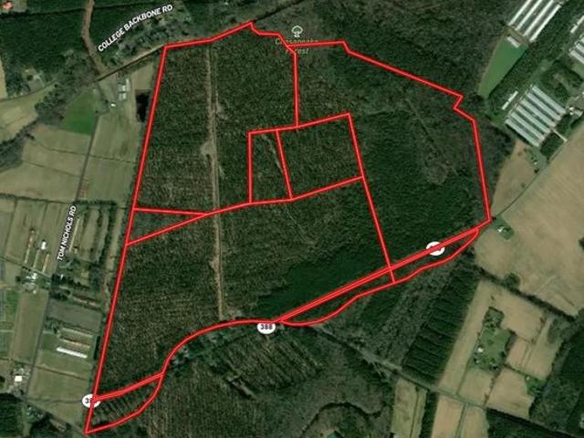 Land for sale in Princess Anne, Maryland