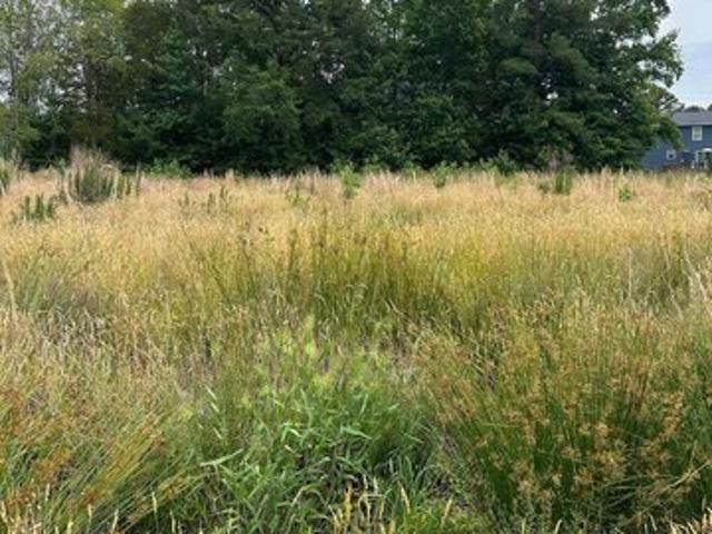 Land for sale in Virginia