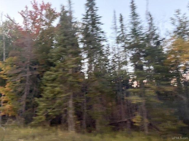 Land for sale in Gulliver, Doyle Township