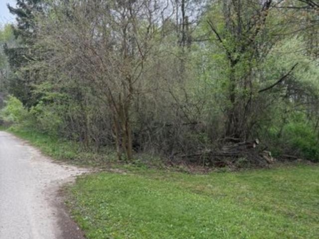 Land for sale in Hastings, Michigan