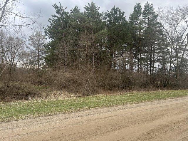 Land for sale in Gratiot, Michigan