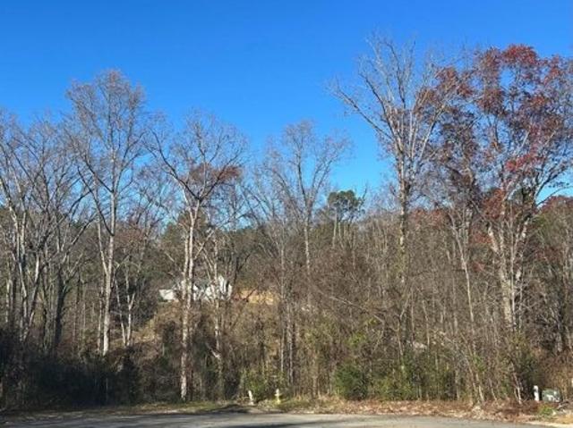 Land for sale in Dalton, Georgia