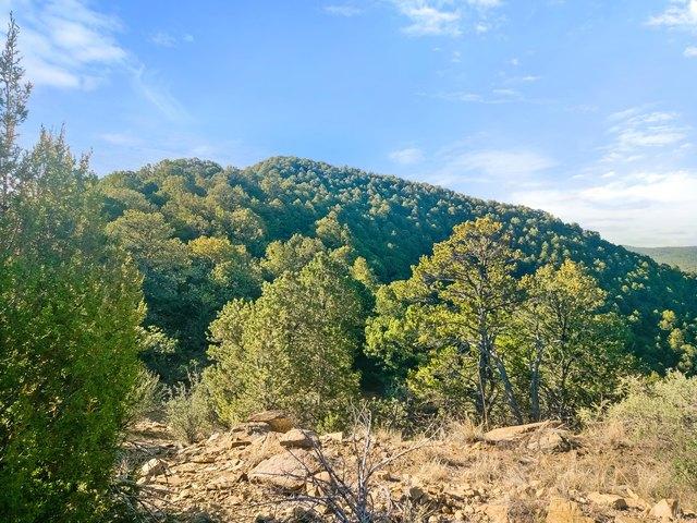 Land for sale in Walsenburg, Colorado