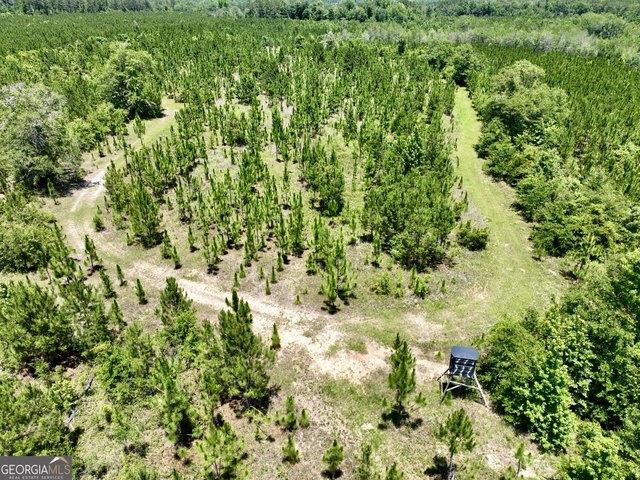 Land for sale in Dodge, Georgia