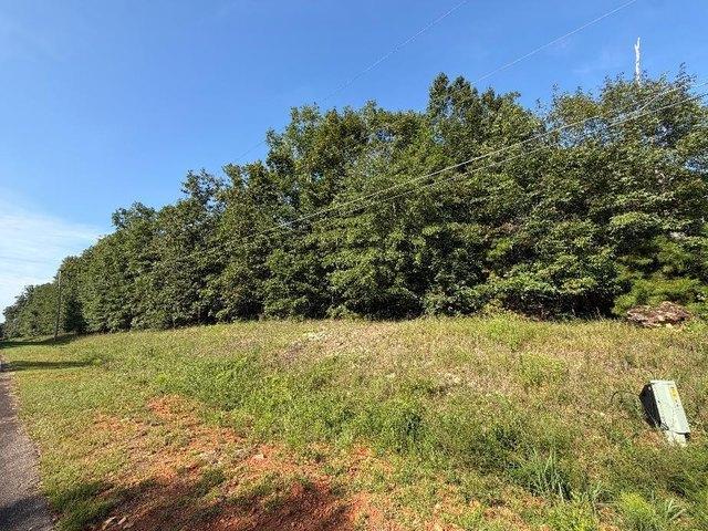 Land for sale in Americus, Georgia
