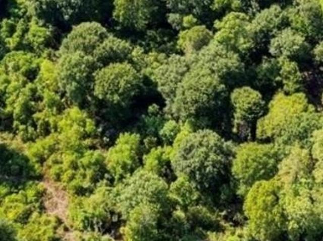 Land for sale in Pinehurst, Texas