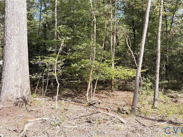 Land for sale in King William, King William County