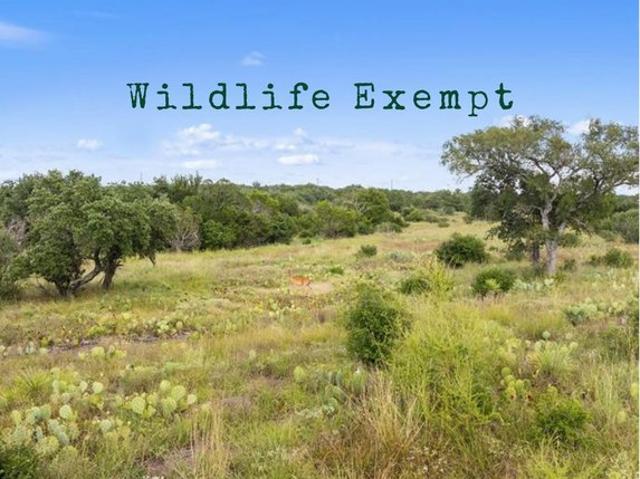 Land for sale in Blanco, Texas