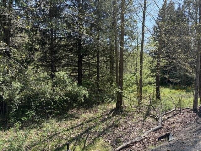 Land for sale in Summersville, West Virginia