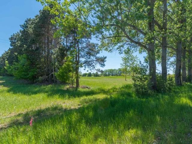 Land for sale in Maple City, Michigan