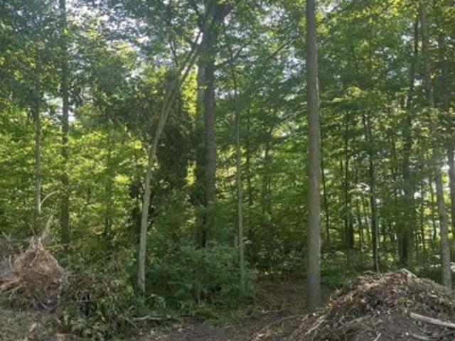 Land for sale in New Palestine
