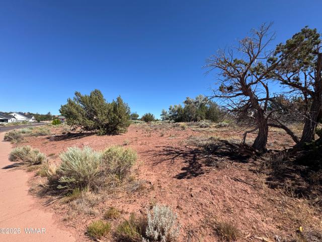 Land for sale in Navajo, Arizona