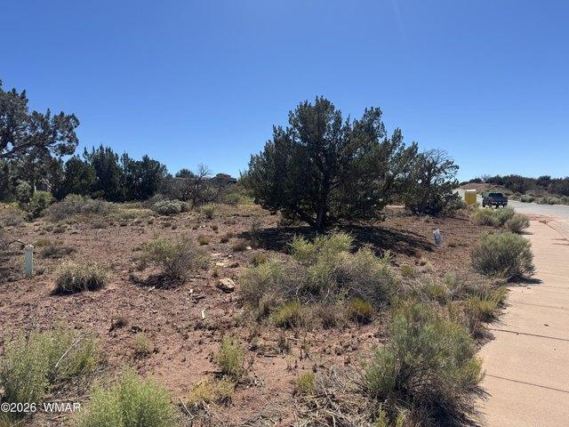 Land for sale in Navajo, Arizona