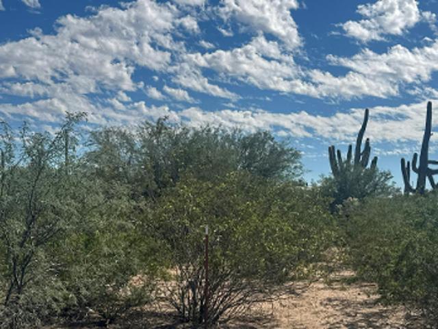 House for sale in Avra Valley, Pima County