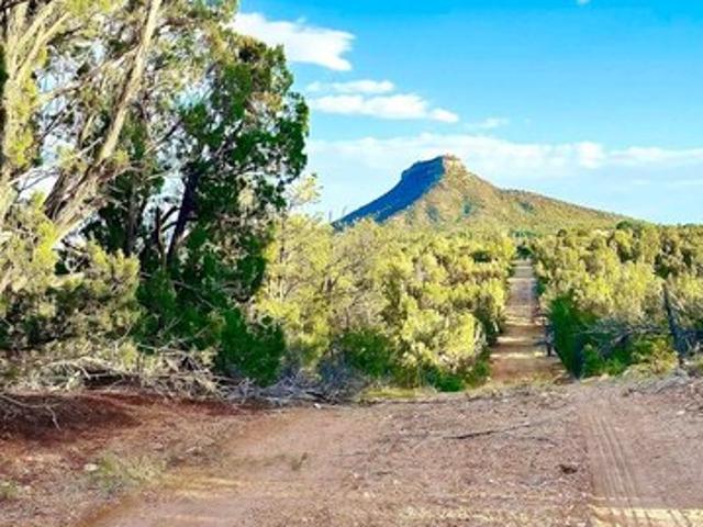 Land for sale in Serafina, New Mexico