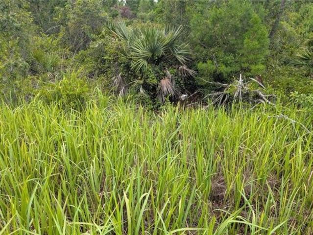 Land for sale in Avon Park, Florida