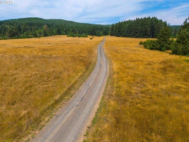Land for sale in Elmira