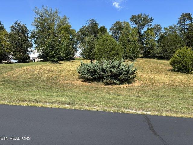 Land for sale in Tennessee