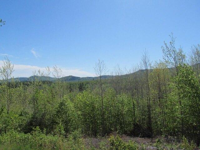 Land for sale in Weld, Maine