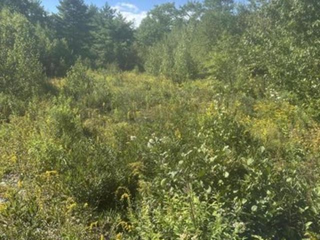 Land for sale in Steuben, Maine