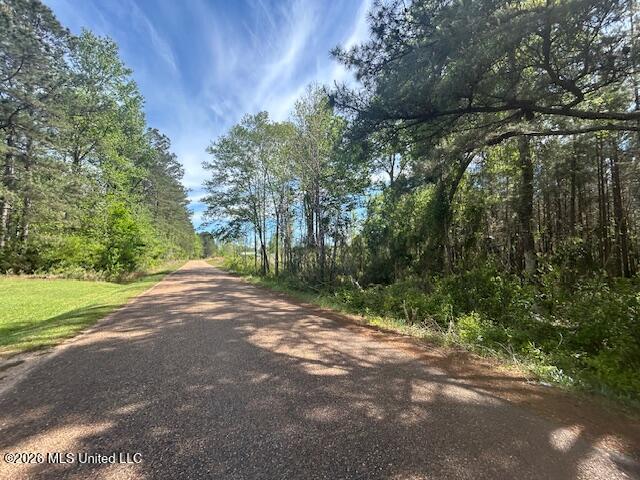 Land for sale in Sontag, Mississippi
