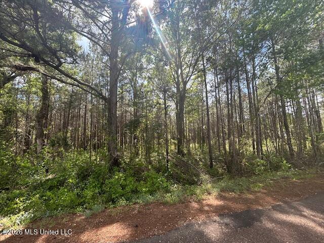 Land for sale in Sontag, Mississippi