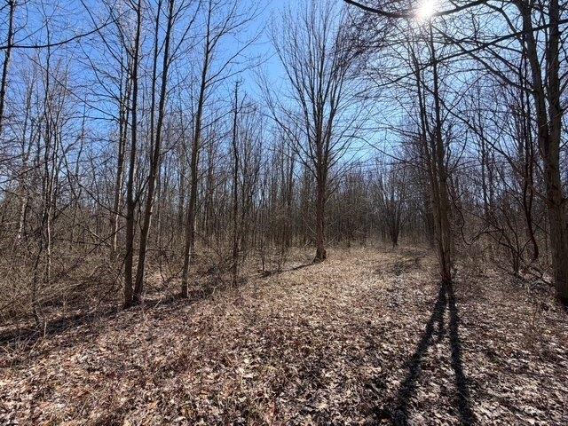 Land for sale in Niagara, New York