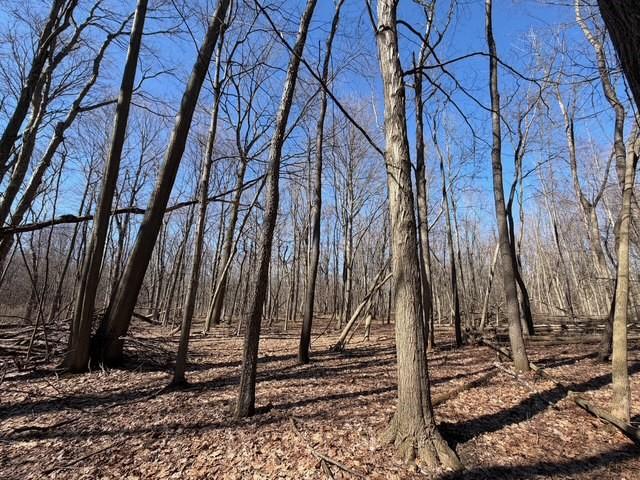 Land for sale in Niagara, New York