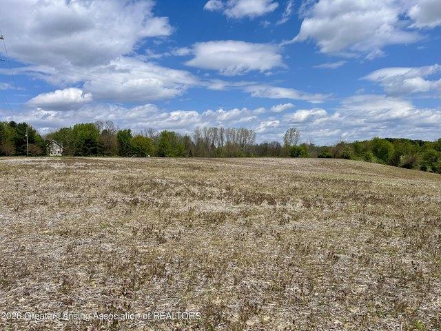 Land for sale in Eaton, Michigan