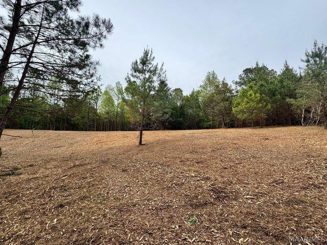 Land for sale in Alabama