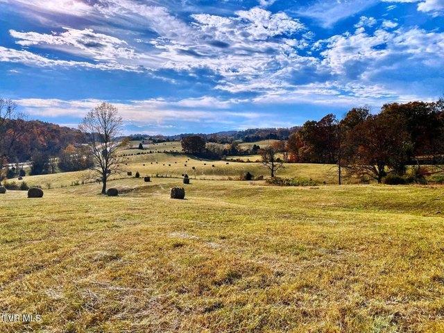 Land for sale in Tennessee