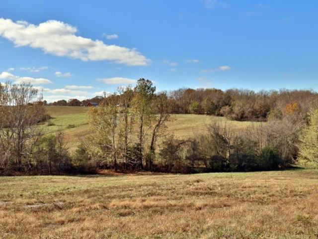 Land for sale in Walnut Grove, Greene County