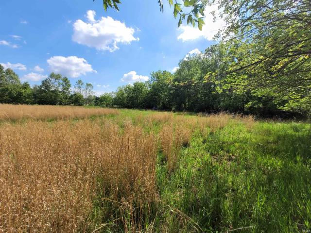 Land for sale in Delphi, Indiana