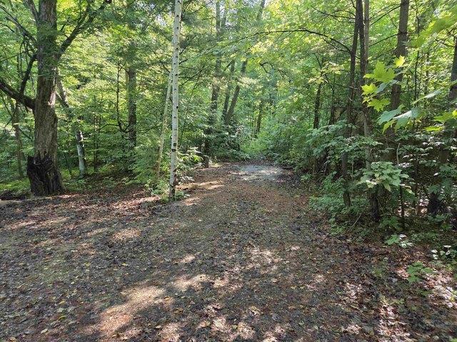 Land for sale in Wisconsin