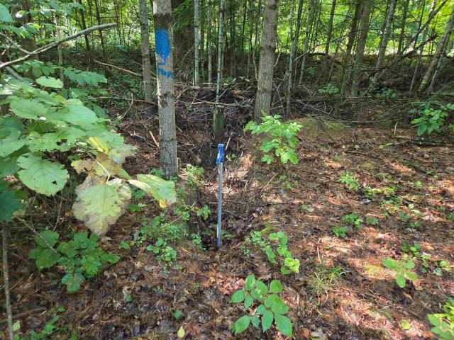 Land for sale in Wisconsin