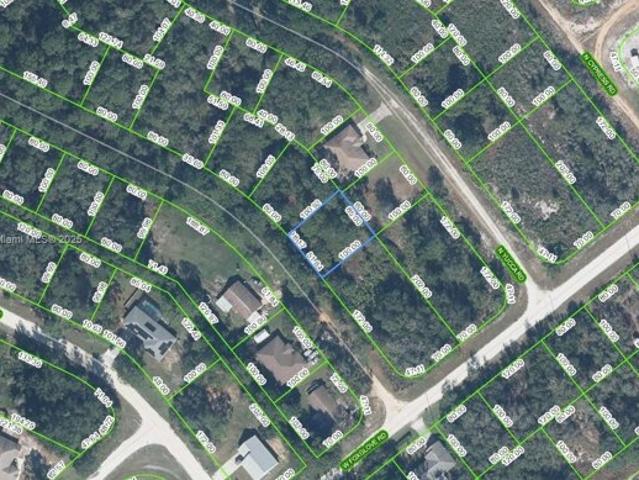 Land for sale in Avon Park