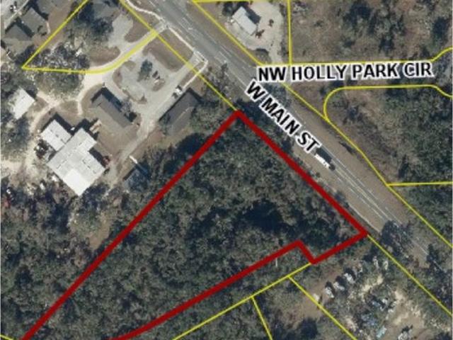 Land for sale in Mayo, Florida