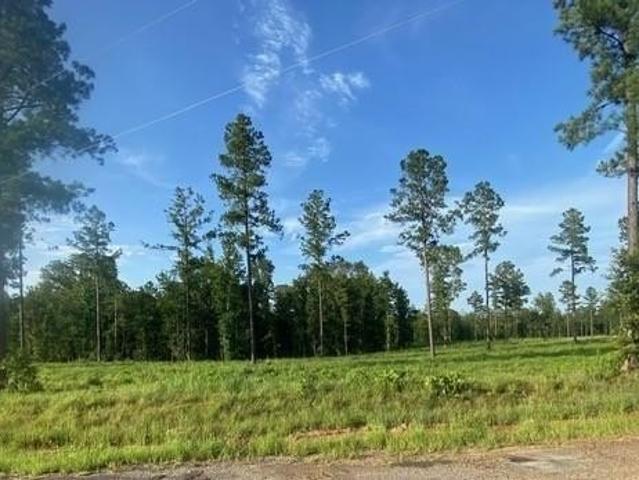 Land for sale in Boyce, Louisiana