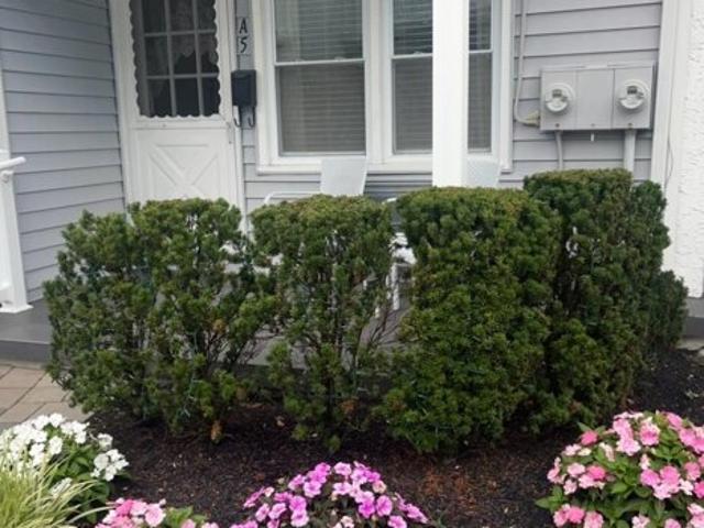 Condo for sale in Ocean City Condo for sale in Ocean City
