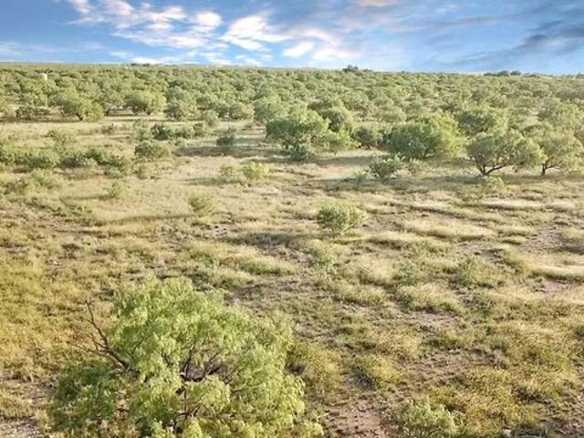 Land for sale in Eldorado, Schleicher County
